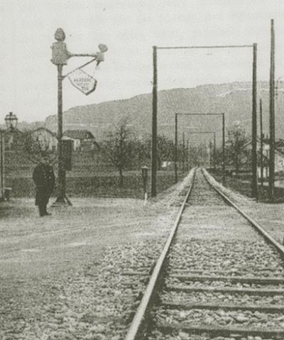 Der USA Bären-Thread 115241