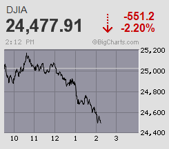 Der USA Bären-Thread 1043203