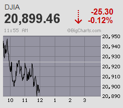 Der USA Bären-Thread 976517