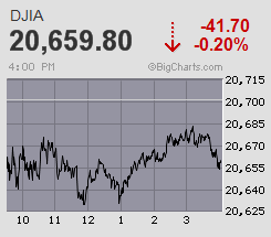 Der USA Bären-Thread 980806