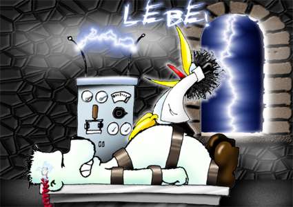 Der USA Bären-Thread 128842