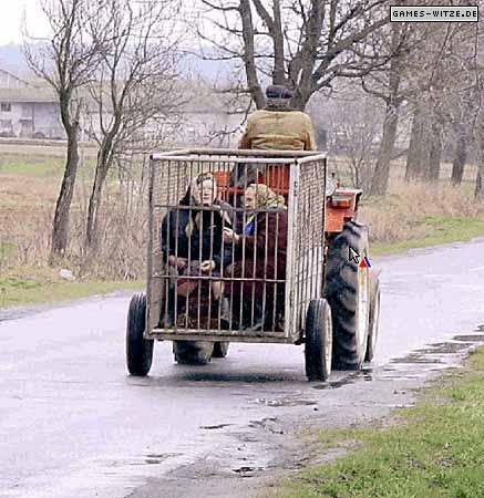 Gibt`s denn hier nix zu K+S? o. T. 197861