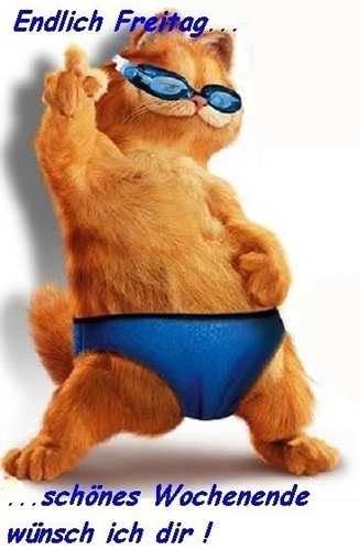 1.525.DAX Tipp-Spiel, Freitag, 08.04.11 393305