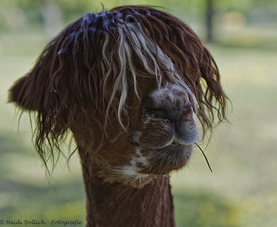 ## Neue KURSRAKETE ## 408359