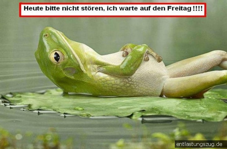 TISCON AG - Neustart nach Reanimation .... ??? 386618