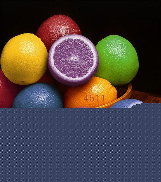 1015.DAX Tipp-Spiel Donnerstag, 09.04.09, 17.45 226491