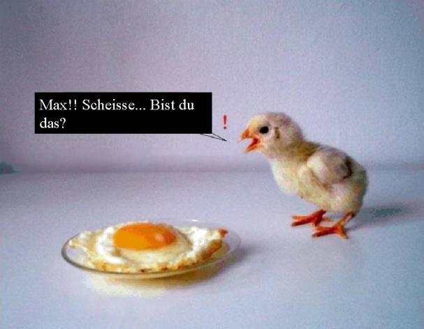 ADX Energy (WKN: 875366): Millionenchance????? 456586