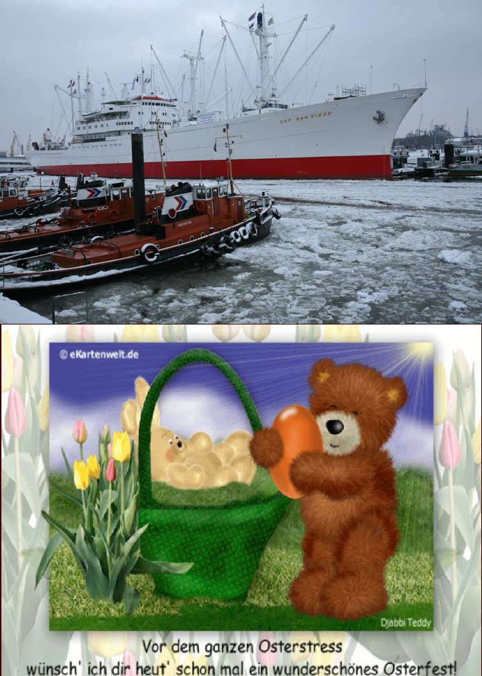 Der USA Bären-Thread 592236