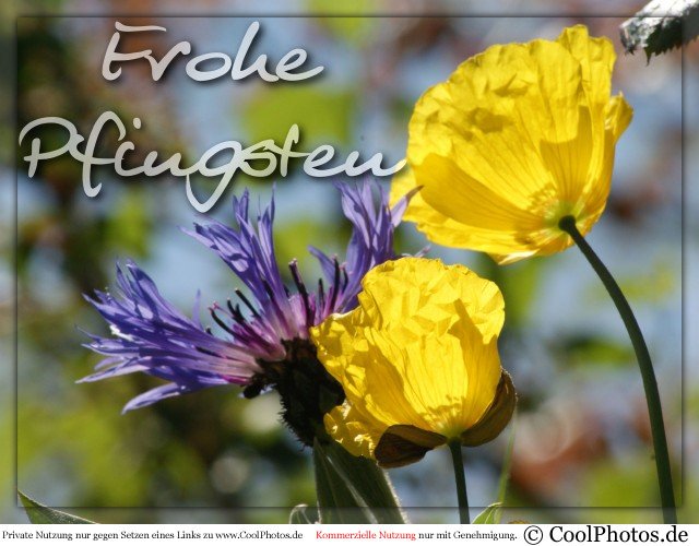 Frühtipper für unser DAX Tippspiel 321684