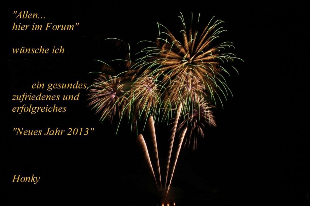 Die Vergessene Bank 565715