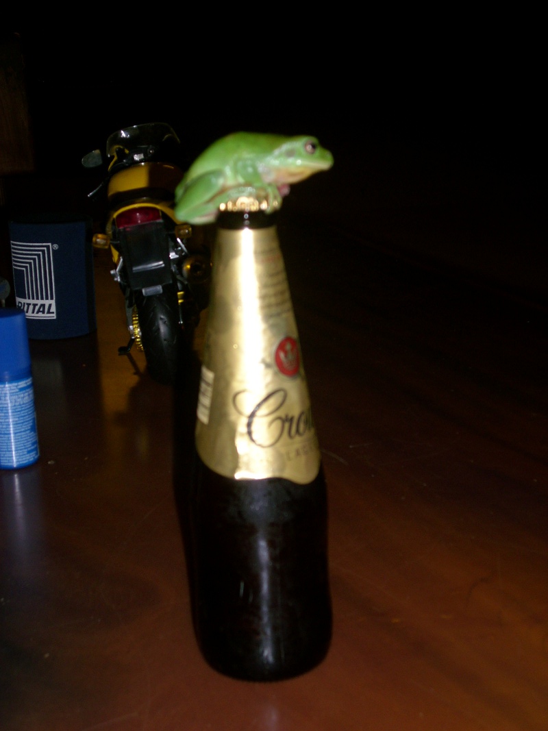 Conergy, wie Phönix aus der Asche ? 312925