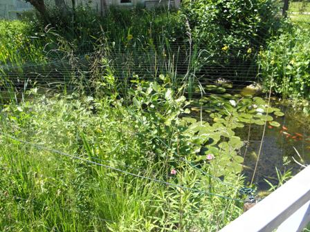 COOP News (ehemals: Wamu /WMIH) 511519