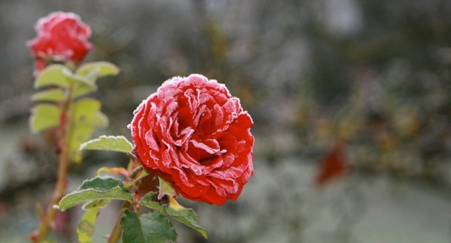 Gold traden - long bzw. short 920954