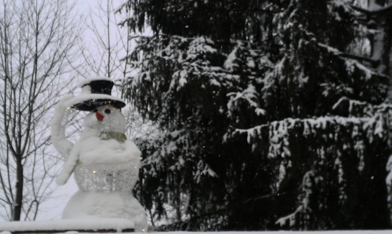 Quo Vadis Dax 2011 - All Time High? 472196