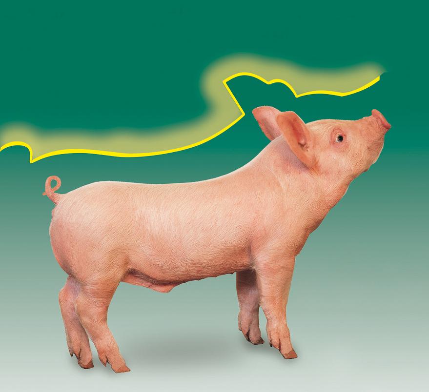 603.DAX Tipp-Spiel, Donnerstag, 23.08.07 116163