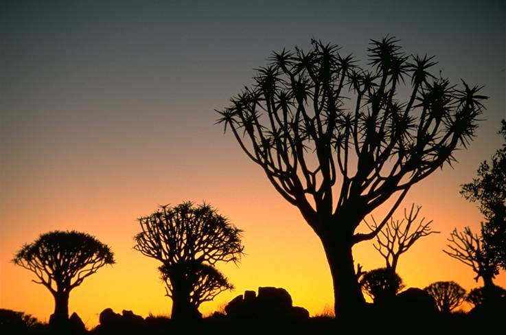 380.DAX Tipp-Spiel, Donnerstag, 05.10.06 60373