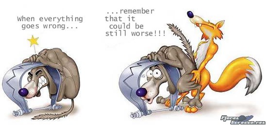 Der USA Bären-Thread 167807