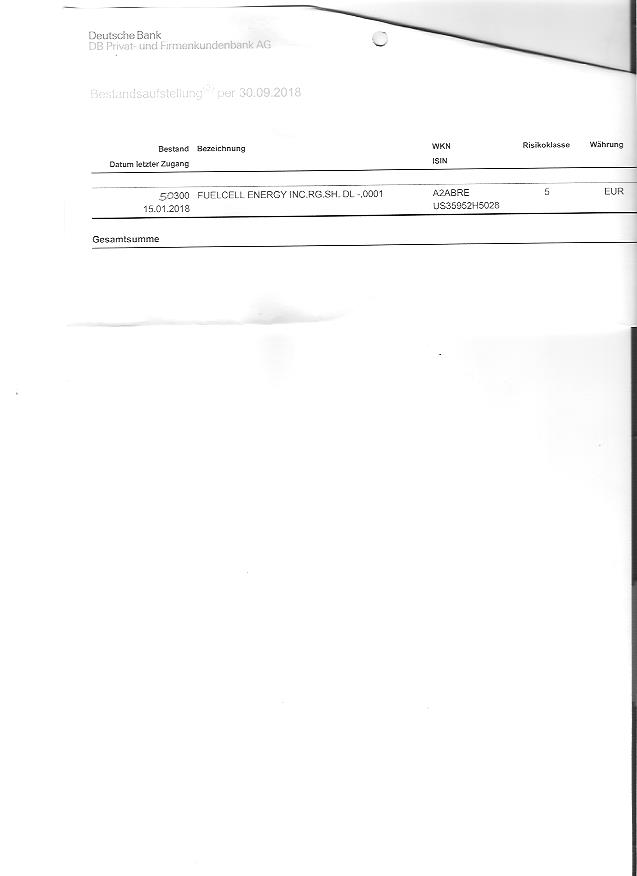 FCEL vor Gewinnschwelle 2013 1089635