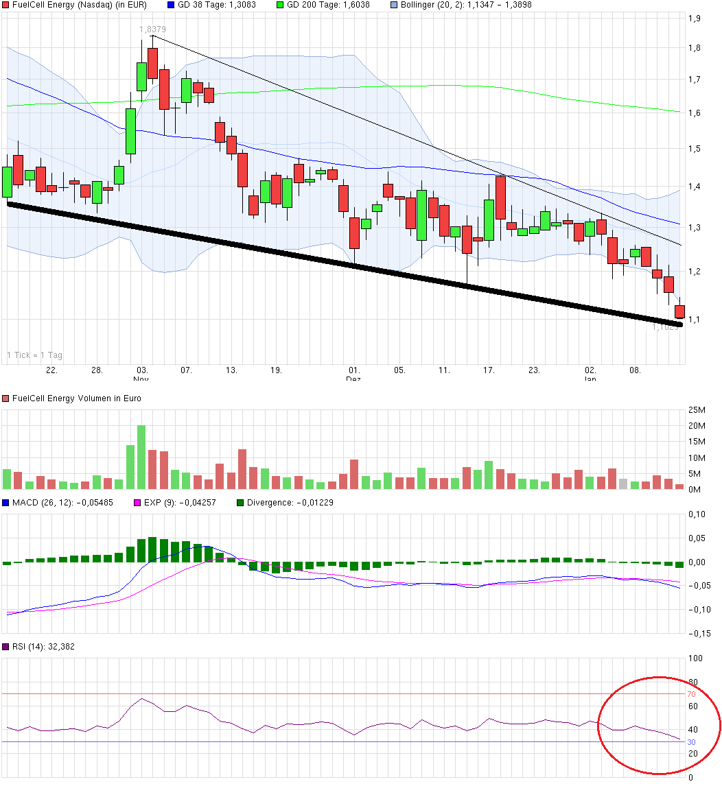 FCEL vor Gewinnschwelle 2013 789643