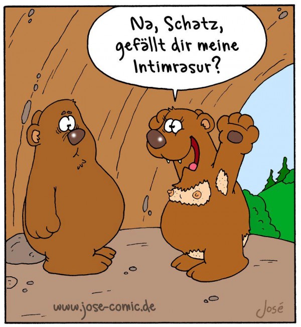 Der USA Bären-Thread 569135