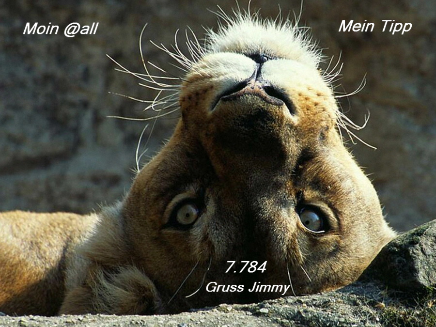 676.DAX Tipp-Spiel, Dienstag, 04.12.07 134690