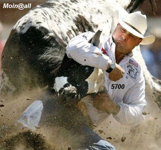 Die Links zu den Sternenkinder (DAX Spiel) 322489