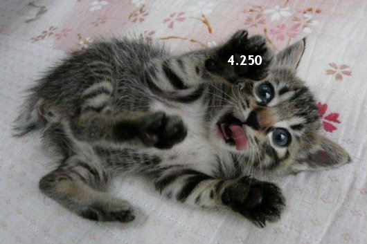 920.DAX Tipp-Spiel *Do* 20.11.08, 17.45 Uhr 200659