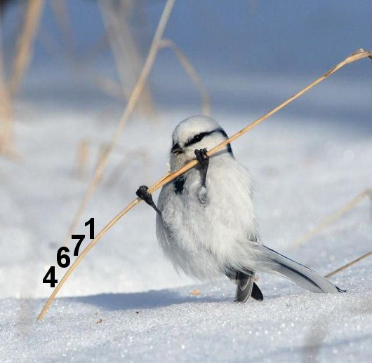 953.DAX Tipp-Spiel, Dienstag, 13.01.09, 17.45 Uhr 210010