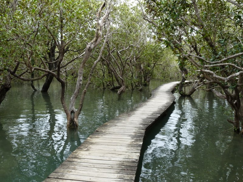 Banken in der Euro - Zone 589591