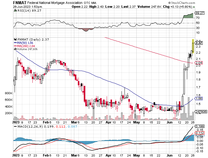 Fannie Mae - Chance auf Verdreifachung bis Juli 1378933