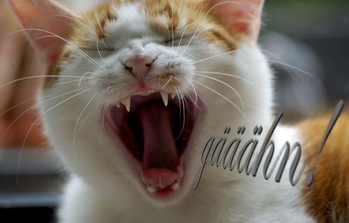 Powerbags vor Kursexplosion!? 359243