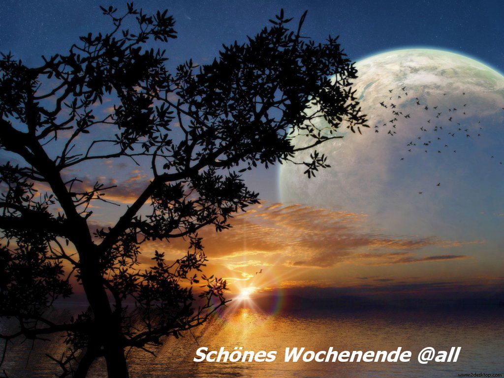 917.DAX Tipp-Spiel *Montag* 17.11.08, 17.45 Uhr 199640