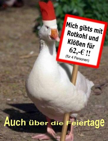 Wo gibt es Dividente ?? 274369