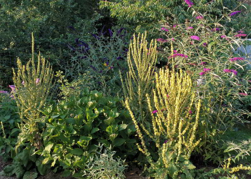 Börse ein Haifischbecken: Trade was du siehst 1246976