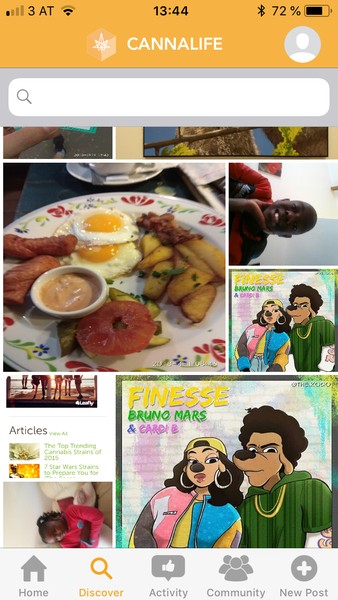 Global Cannabis 1062921