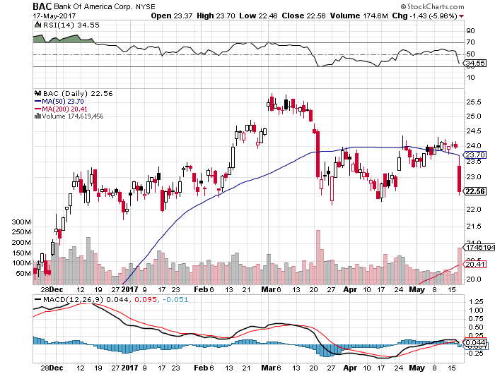 Der USA Bären-Thread 990401