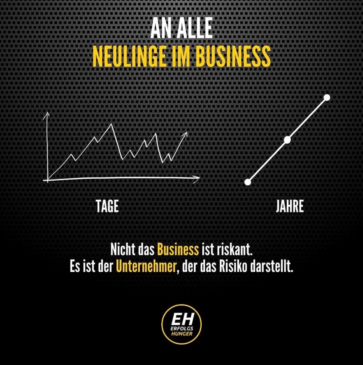 Halo Collective Inc. 1241711