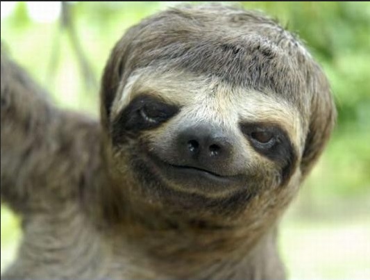 K+S: 70 Euro und mehr sind drin 630442