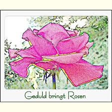 2014 QV DAX-DJ-GOLD-EURUSD-JPY 720755