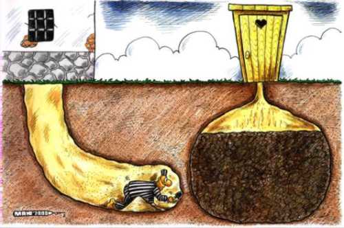 Das Erdöl hat keine Zukunft 916659