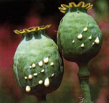 Leute schnell noch positionieren! 161185