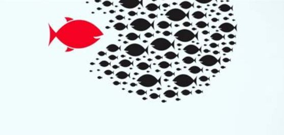 Steinhoff International Holdings N.V. 1186150