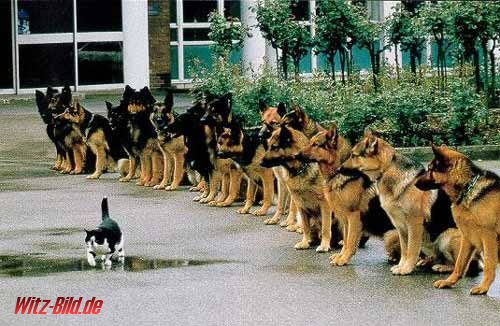 Auch Fluxx wird sein Recht bekommen 106801