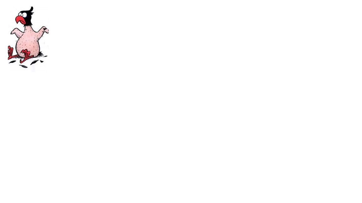 netcents, die neue online zahlungsplattform 1101593