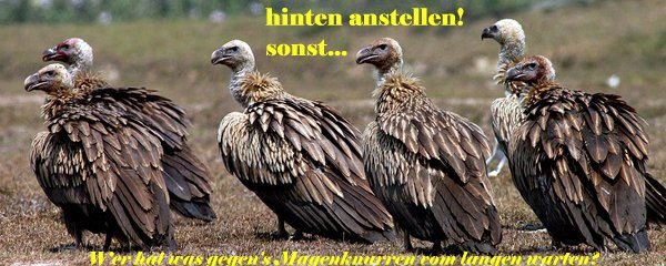 Freunde des Silbers 677633