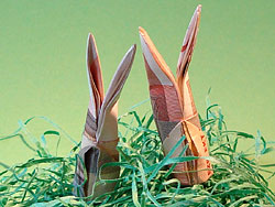 Bank Of America - The Winner 226778