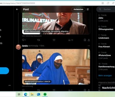 Wirecard 2014 - 2025 1450292
