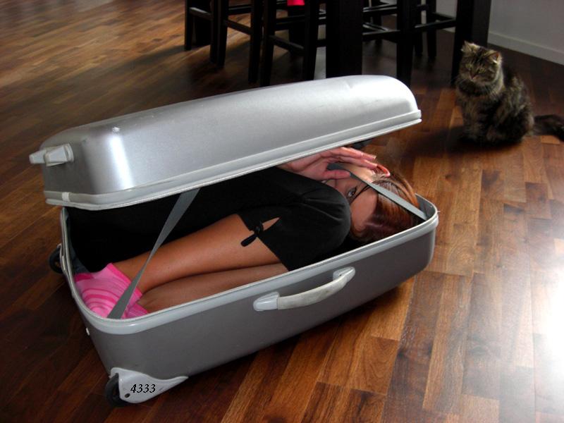 Die Links zu den Sternenkinder (DAX Spiel) 227061