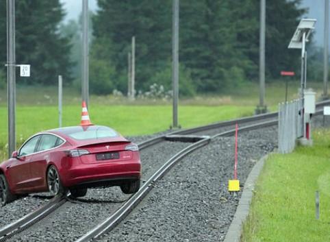 Der USA Bären-Thread 1191225