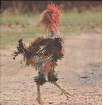 q-loud & die neue QSC AG 1496322